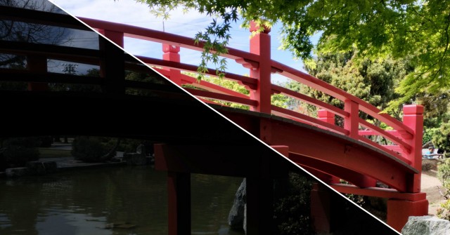 Google’s New Algorithm Perfects Photos Before You Even Take Them