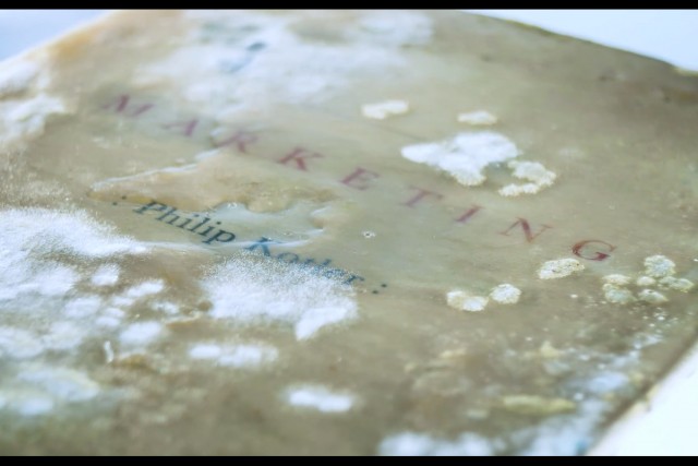 O conhecimento ganha bolor?