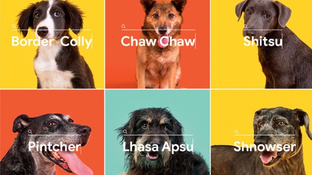 Marca de ra&ccedil;&atilde;o usa buscas por ra&ccedil;as no Google para incentivar ado&ccedil;&atilde;o de vira-latas